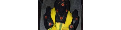சீர்காழி